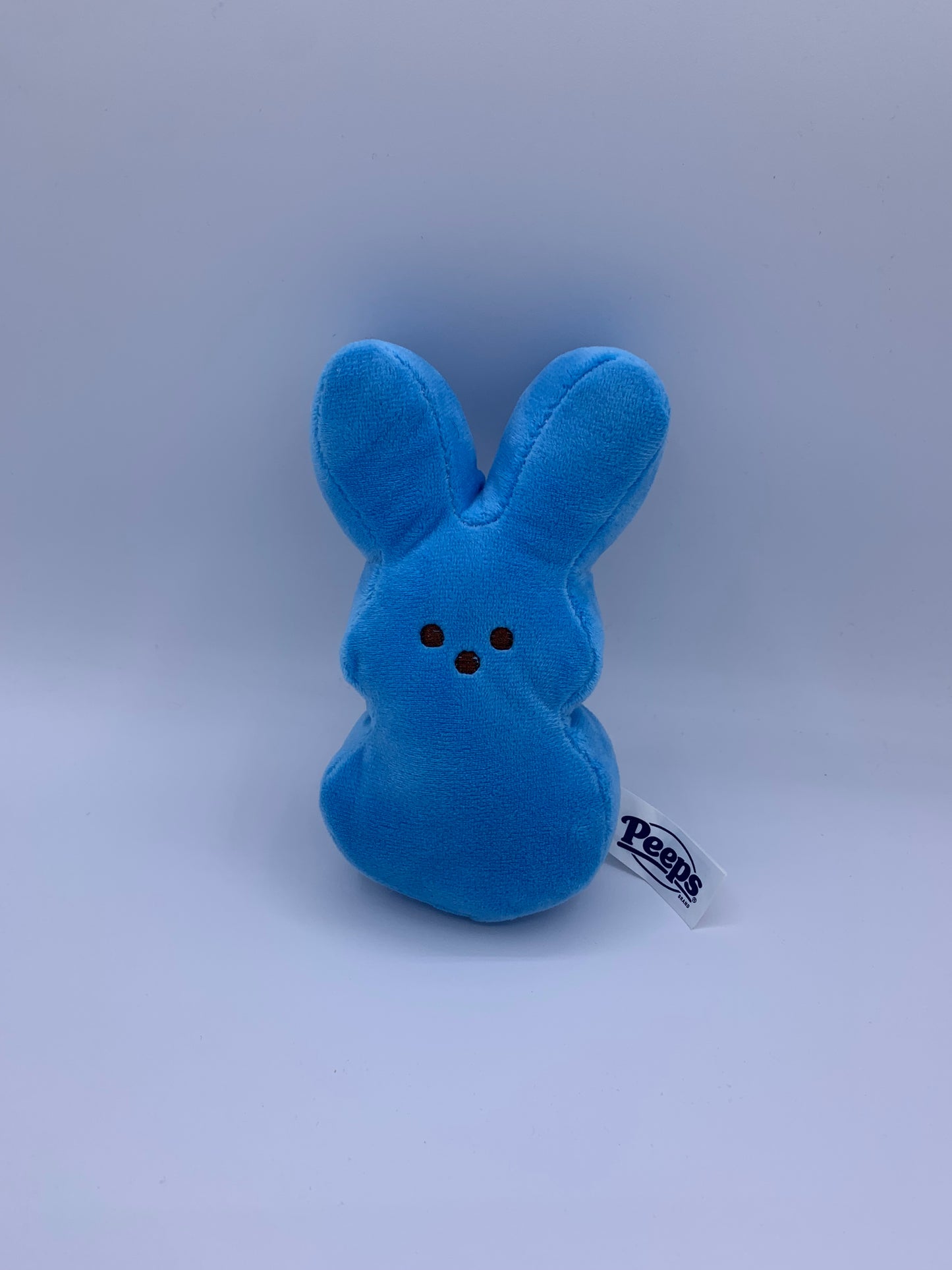 Customized Easter Bunny
