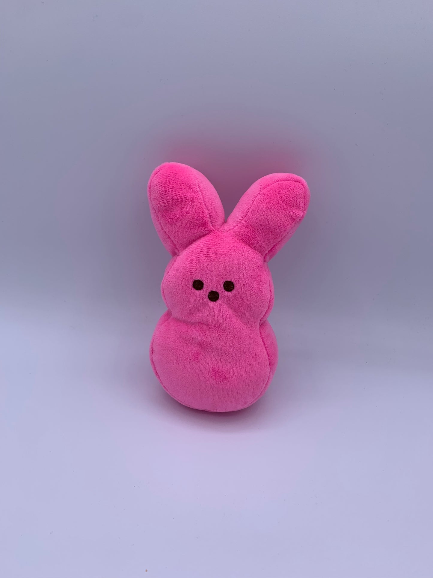 Customized Easter Bunny